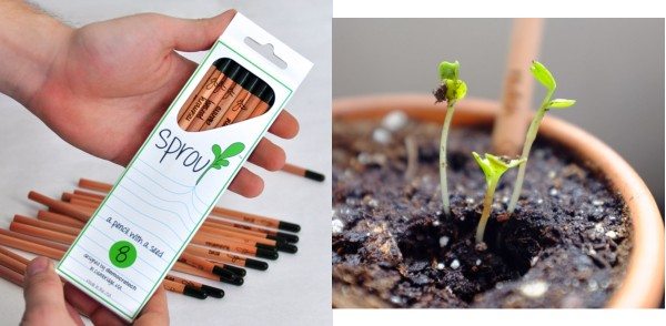 sprout-pencil-kit
